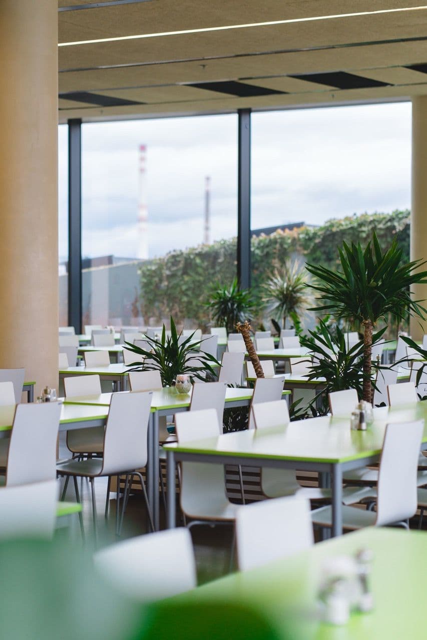 DSC08438-1 ve velké velikosti.jpeg