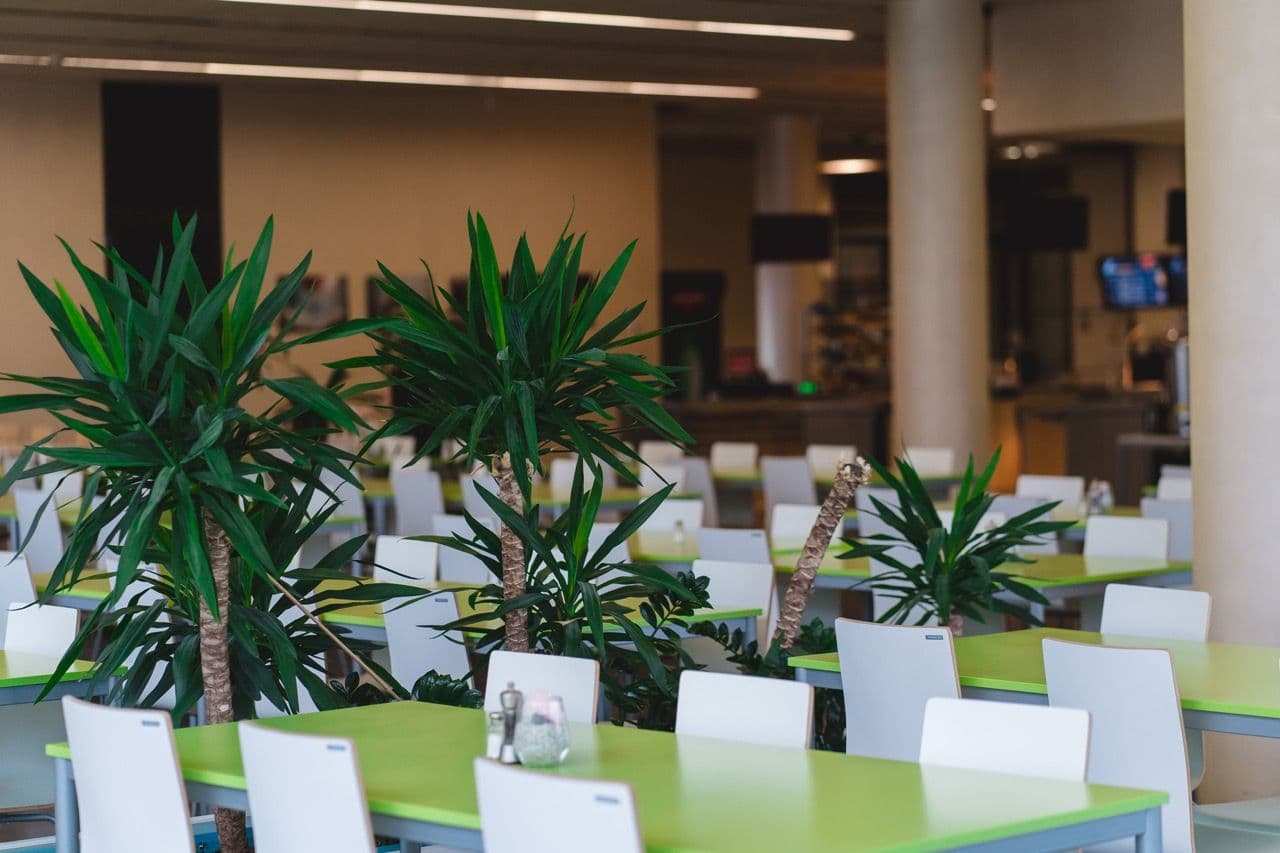 DSC08439-2 ve velké velikosti.jpeg